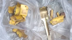 থানা থেকে হারানো গ্রেনেড ময়লার স্তূপে, পেয়ে পিন টানতেই উড়ে গেলো ৩ আঙুল 