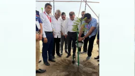 আমিনবাজারে সড়কের দুই পাশে সবুজায়ন কর্মসূচির উদ্বোধন প্রধানমন্ত্রীর