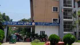 সড়কে গাছ ফেলে ডাকাতি, চার নারীর স্বর্ণালংকার-টাকা লুট
