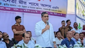 বট ও গুপ্ত বিএনপিতেও আছে: মীর শাহে আলম