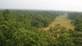 শহরের কোলাহল ছেড়ে এক দিন কাদিগড়ের বনে