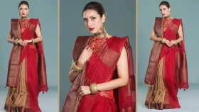 দুই শাড়িতে মিমের বিজয়া সাজ, নজর কাড়লো রাজকীয় লুক