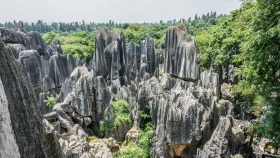 গাছ নেই, তবু বনের নাম ‘স্টোন ফরেস্ট’