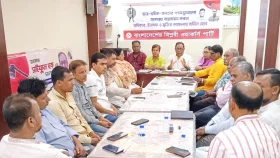 আ.লীগকে নিয়ে অতিরিক্ত মাতামাতি বুমেরাং হতে পারে: সাইফুল হক