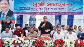 আমরাও চাই শেখ হাসিনা আসুক, মানুষ তার বিচার দেখতে চায়: প্রতিমন্ত্রী শাহে আলম