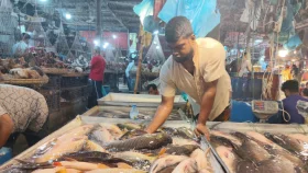 ‘আমাদের নীরব কান্না দেখার মতো কেউ নেই’