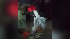 দুধ দিয়ে গোসল করে জামায়াতের সমর্থন ছাড়ার ঘোষণা, ভিডিও ভাইরাল