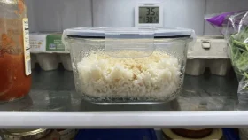 ফ্রিজের শক্ত ভাত ঝরঝরে করতে বরফের সহজ কৌশল