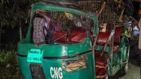 ২০ দিন আগে ইরাক থেকে ফিরেছিলেন, সড়কে প্রাণ গেলো প্রবাসীর