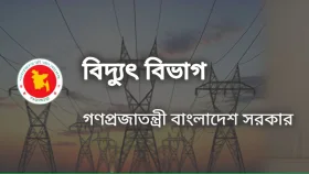 ভর্তুকিতে বিদ্যুৎ কোম্পানিগুলো: তারপরও কর্মীদের ‘প্রফিট বোনাস’ দেওয়া নিয়ে প্রশ্ন