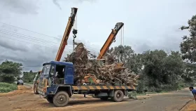 গাছ না কেটে নতুন জমিতে ৮০০ আমগাছ স্থানান্তর করলেন আবাসন নির্মাতা