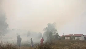 দাবানলের ধোঁয়ায় বিপর্যস্ত ইন্দোনেশিয়া, এক মাসেই মৃত্যু সাড়ে তিন হাজারের বেশি