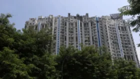 ফুল তুলতে গিয়ে ২৩ তলা থেকে পড়ে বাবা-ছেলের মৃত্যু