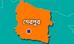 শেরপুর