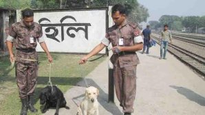 হিলি সীমান্ত (ফাইল ফটো)