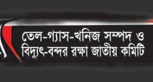 তেল গ্যাস খনিজ সম্পদ ও বিদ্যুৎ-বন্দর রক্ষা কমিটি