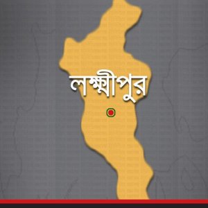 লক্ষ্মীপুরে আগুনে পুড়লো ২০ দোকান