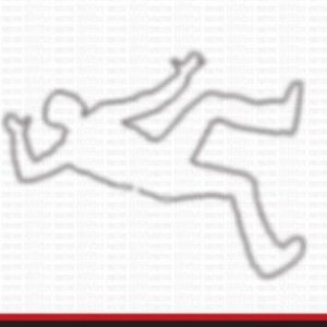 হাতিরঝিলে প্রাইভেটকারের ধাক্কায় রিকশাচালক নিহত