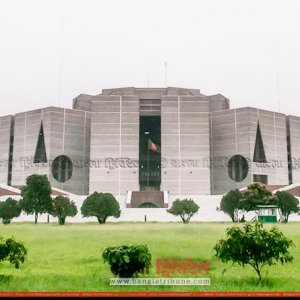 পরাজিত প্রার্থীরাও কি উচ্চকক্ষের সদস্য হতে পারবেন?  