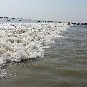 কুয়াকাটা সমুদ্রসৈকতে আবারও ভেসে এলো মৃত ডলফিন