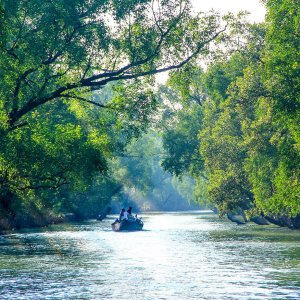 সুন্দরবনে নিখোঁজ যুক্তরাষ্ট্রপ্রবাসী নারী পর্যটকের মরদেহ উদ্ধার