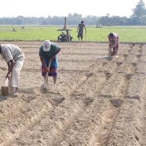অবশেষে জুলাইয়ে চালু হচ্ছে ভূমি মালিকানা সনদ