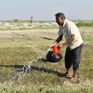 অতিরিক্ত গরমে একবছরে বাংলাদেশের ক্ষতি ২৪ বিলিয়ন ডলার