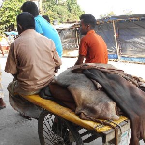 ঈদের আগে বকেয়া পরিশোধ ছাড়াই ঋণ পাবেন চামড়া ব্যবসায়ীরা