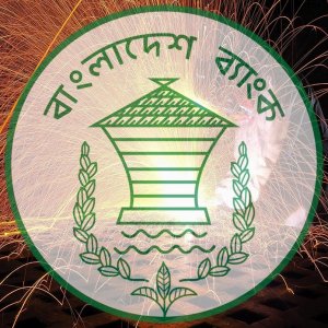 খেলাপি হার ২০ শতাংশ হলেও তহবিল পরিচালনায় যোগ্য হবে ব্যাংক