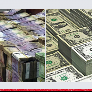 আন্তঃব্যাংক বাজারে স্থিতিশীল ডলার