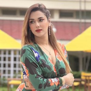 অডিও ফাঁস, ববি বলছেন জোড়াতালি!