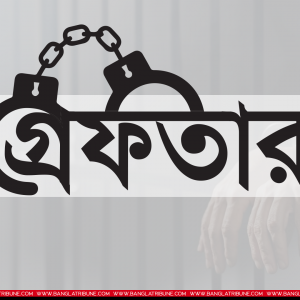 শিশুসন্তানকে হত্যার দায়ে সৎমা গ্রেফতার