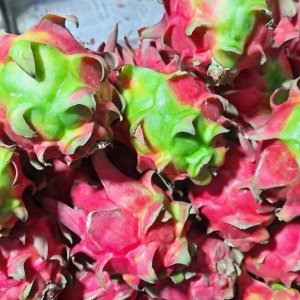 ড্রাগন ফল খেলে এত উপকার পাওয়া যায় জানতেন?