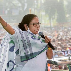 মমতাকে ‘শাড়ি পরা ট্রাম্প’ বলে কটাক্ষ বিজেপির