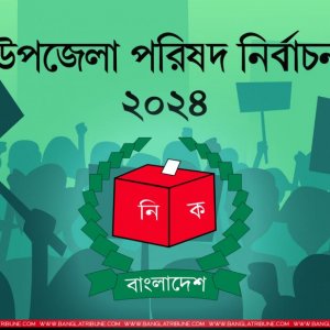 বগুড়ার দুই উপজেলায় জামানত হারাচ্ছেন ১২ প্রার্থী