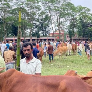 হাসিলের টাকা কম দেওয়ায় লঙ্কাকাণ্ড, হামলা হলো পুলিশের ওপরও