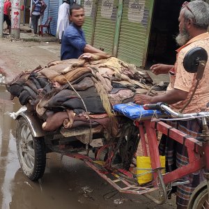 চামড়ার ‘দাম নির্ধারণ করছেন’ আড়তদাররা, বিপাকে মৌসুমি ব্যবসায়ীরা