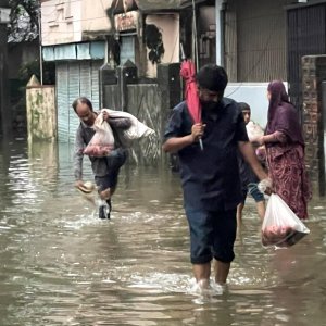 বন্যায় সিলেটে কোরবানি হয়নি ৫ সহস্রাধিক পশু