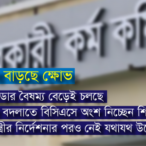 শিক্ষা ক্যাডারে চাকরি ছাড়ার প্রবণতা কেন বাড়ছে?