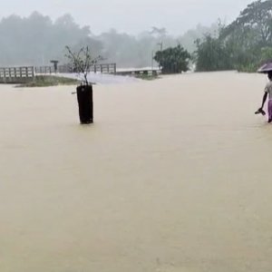 টানা বর্ষণে প্লাবিত বান্দরবানের নিম্নাঞ্চল, দুই শতাধিক পরিবার পানিবন্দি