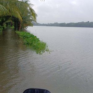 লক্ষ্মীপুরে ভেসে গেছে ৪৫ হাজার পুকুরের মাছ