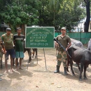 গরু-মহিষ পাচারকালে দুই বাংলাদেশিকে আটকের দাবি বিএসএফের