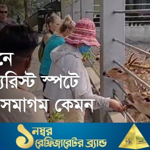 সুন্দরবনের পর্যটন সম্ভাবনা অপার, তবুও থেমে আছে কোথায় । Sundraban । Travel