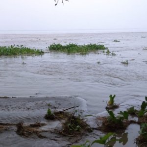 লোকালয় থেকে পানি নামছে, কুড়িগ্রামে বন্যা পরিস্থিতির উন্নতি