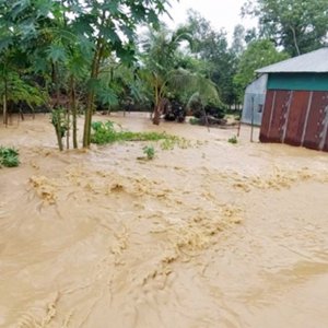 শেরপুরে নদ-নদীর পানি বিপদসীমার ওপরে, বাঁধ ভেঙে শতাধিক গ্রাম প্লাবিত