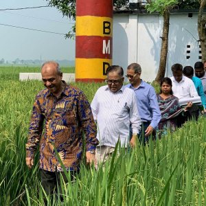 সাধারণ কৃষকের স্বার্থে বিএমডিএ’কে কাজ করতে হবে: কৃষি উপদেষ্টা