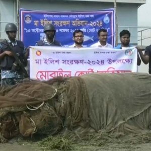 ইলিশ ধরার সময় ৩ জেলে আটক, ২৪ লাখ মিটার জাল জব্দ