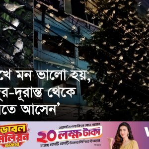 যে বাসস্ট্যান্ডে সকাল-সন্ধ্যায় উড়ে আসে ঝাঁকে ঝাঁকে চড়ুই পাখি