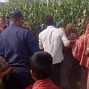 ঠাকুরগাঁওয়ে ভুট্টাক্ষেতে গৃহবধূর লাশ, স্বামী পলাতক