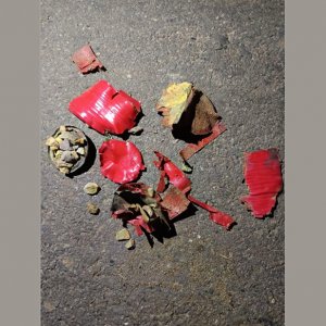 চলন্ত মোটরসাইকেলে ককটেল নিক্ষেপ, দুই ভাই আহত